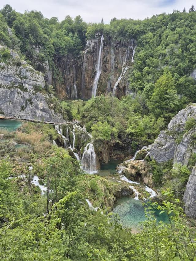 SANG YOUNG C.의 사진 5 (24. 5. 15.)