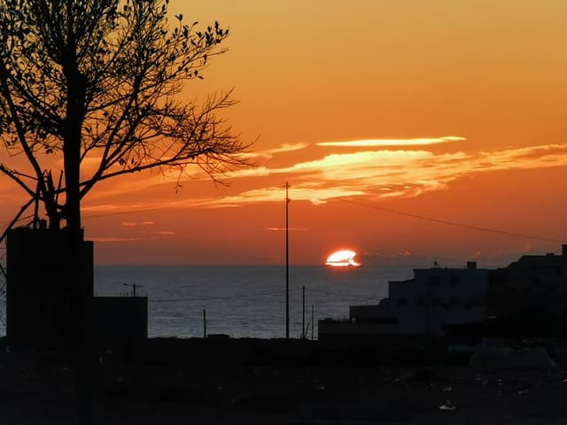 Photo 4 par Karin L. (25/03/24)