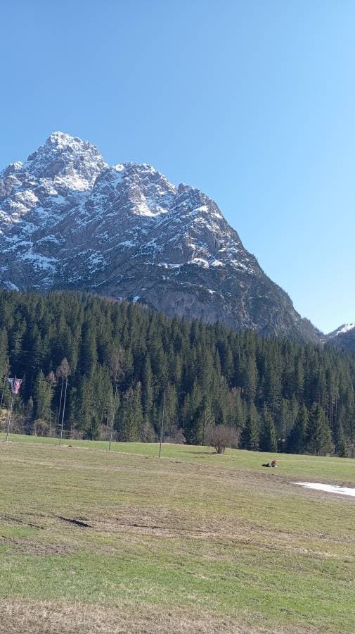 Foto 2 di Carla S. sul noleggio di una Fiat Panda a Venezia (11/04/25)