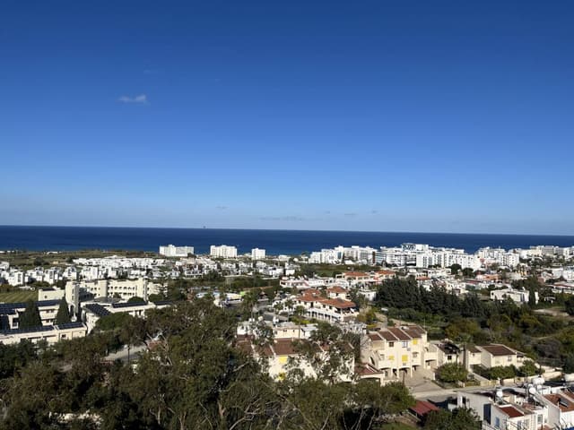 Photo 7 by Michelle M. (4/10/26)