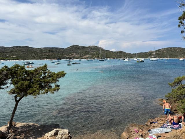 Foto 5 di Angela L. sul noleggio di una Renault Twingo in Corsica (14/08/24)