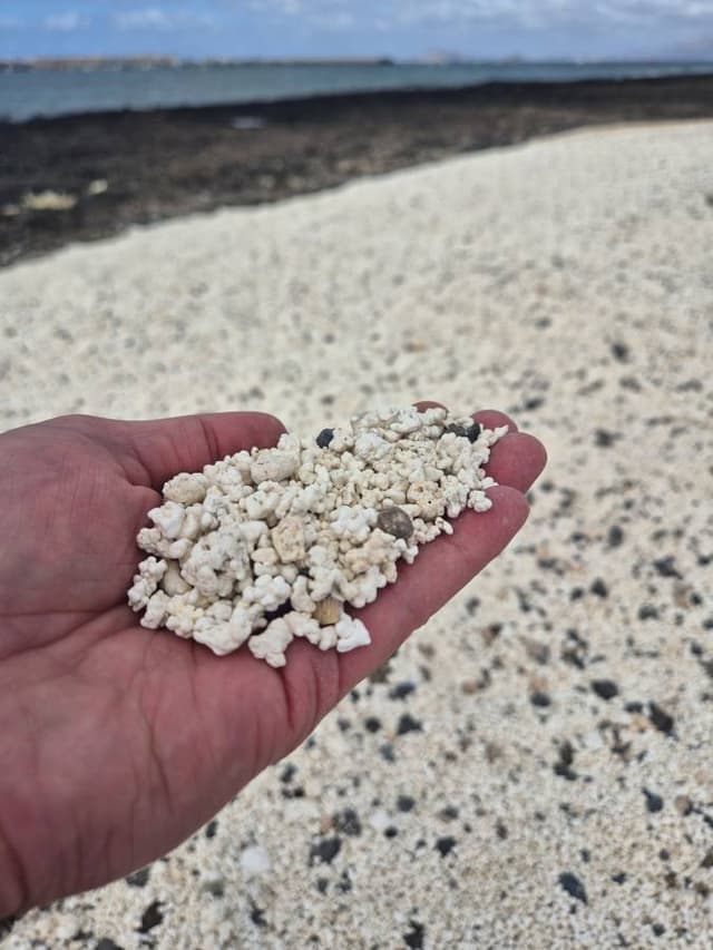 Foto 14 od Roman P. (7. 12. 25)