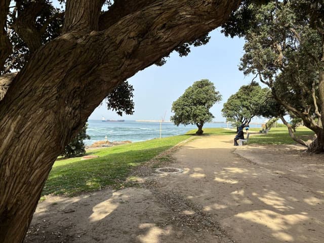 Photo 3 by Rania T. (4/11/26)