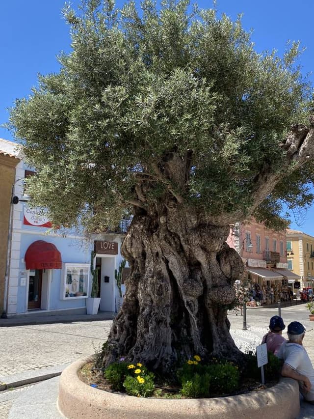 Photo 3 by Eric Michael D. about hiring a Fiat 500 in Olbia (24/06/26)