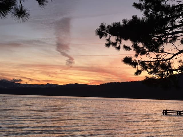 Photo by Fred K. (3/12/26)