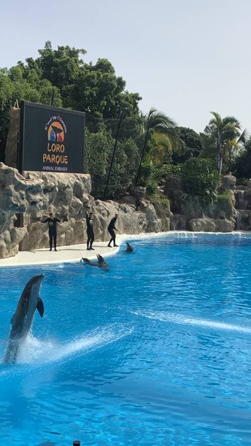 Foto 1 od Rostislav B. (7/20/25)