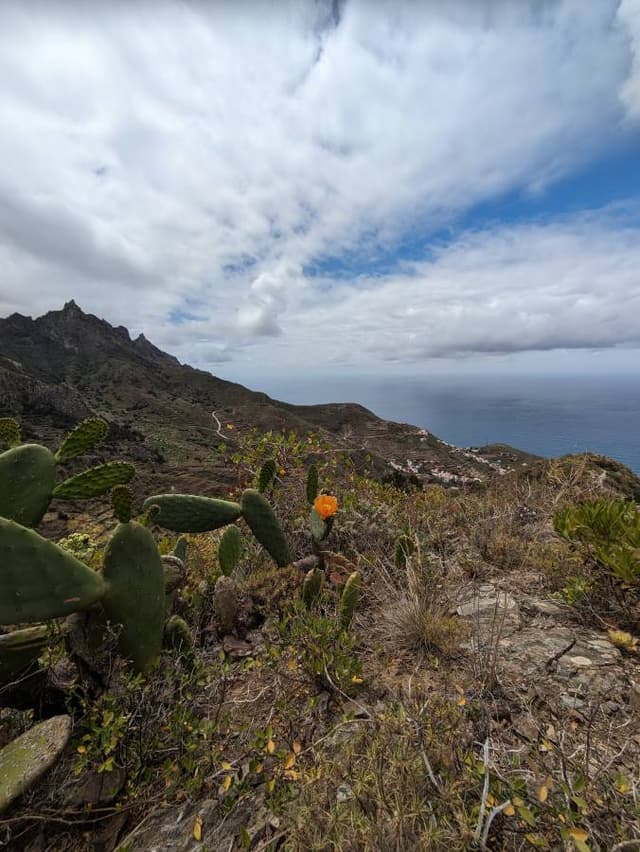 Photo 2 by Joost K. about renting a Seat Ibiza in the Canary Islands (6/26/24)