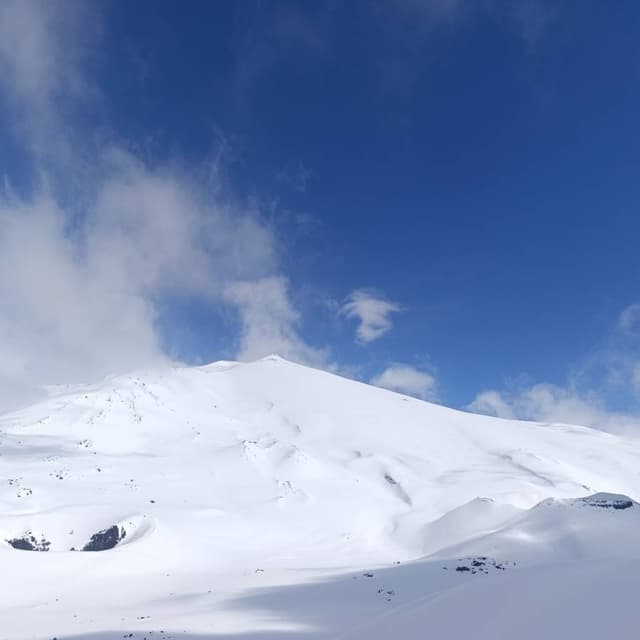 Photo 8 by Peter P. (3/26/26)