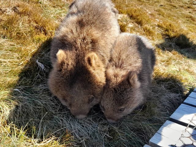 Photo 4 by Jennifer E. (10/1/23)