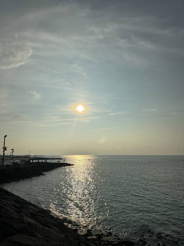 Photo 7 by Phoebe T. (9/10/24)