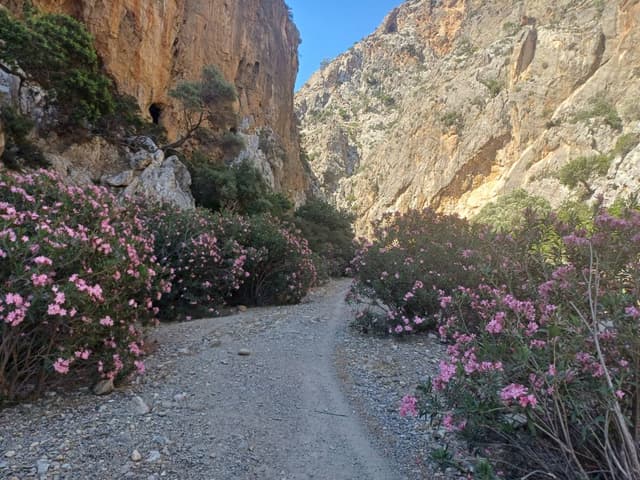 Photo 10 by robert L. about renting a Fiat Panda in Crete (5/21/25)