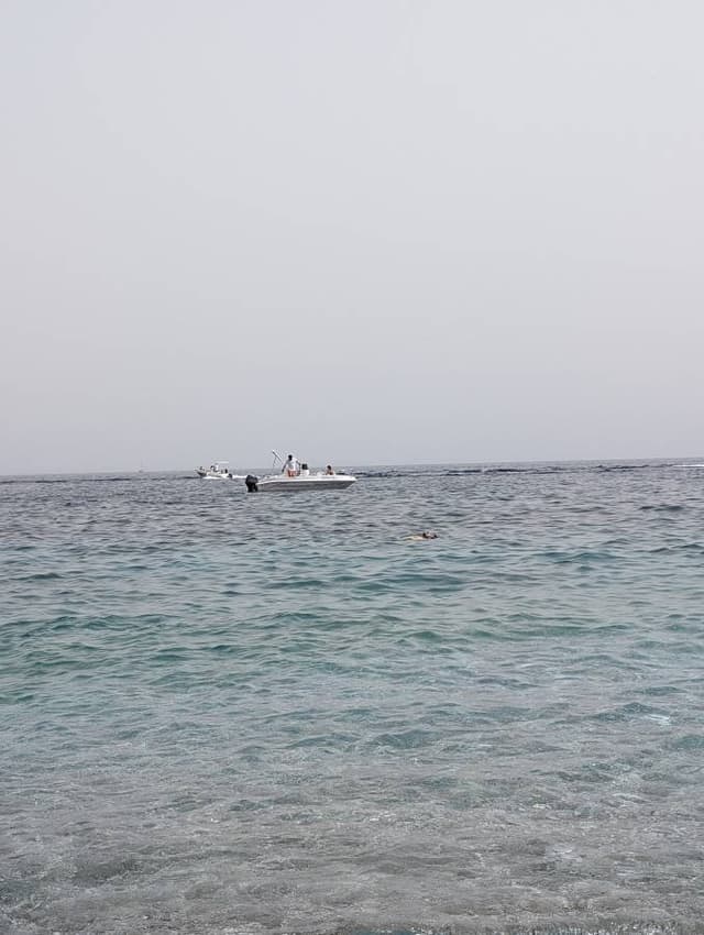 Photo 6 by Elisa M. about renting a Fiat Panda in Trapani (6/26/24)