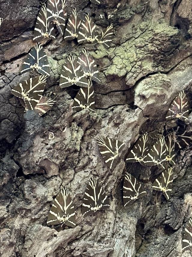 Photo 1 by Gayle G. about renting a Toyota Aygo at Rhodes Port (9/7/23)