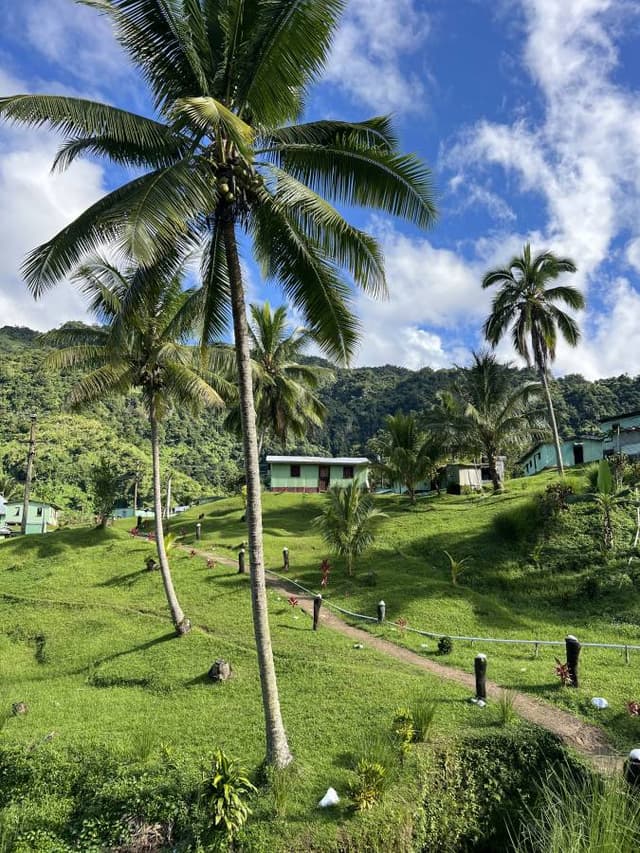 Photo 9 by Emily K. about renting a Honda Fit in Nadi (6/13/25)