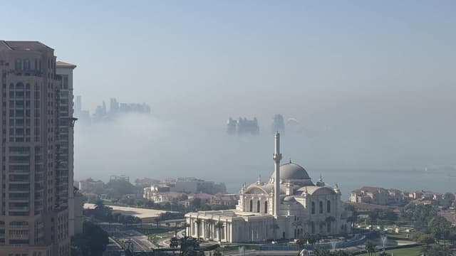 Photo 6 by Alexandru-Cezar S. (2/20/26)