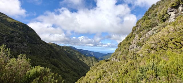 Photo 4 by Oleksandr V. (12/7/25)