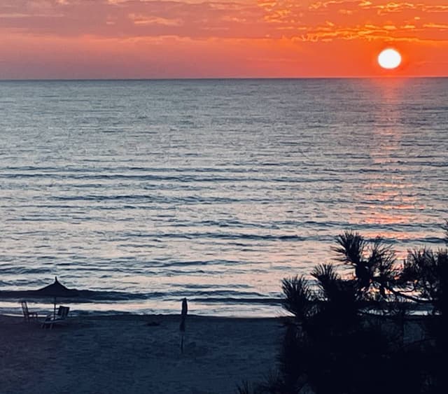 Zdjęcie 2 wykonane przez Jacek K. (25.02.24)