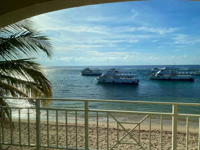 Photo by Jeffrey S. (11/14/25)