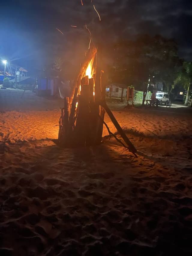 Photo by Paul C. (1/11/23)