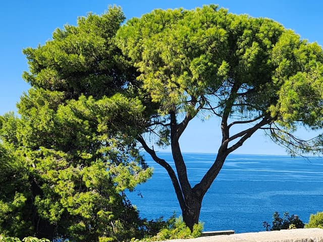 Foto 6 van Monique B. (4-10-24)