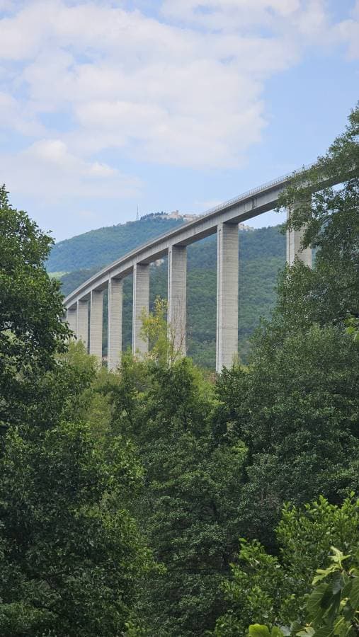 Zdjęcie 8 wykonane przez Ireneusz H. (7.08.26)
