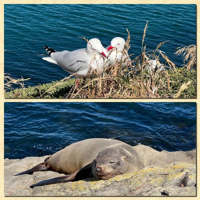 Foto 4 von Robert S. (4.12.25)