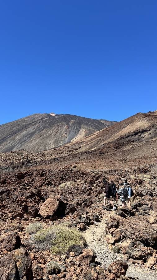 Photo 6 by Ganna M. about renting a Renault Espace 5+2 at Tenerife Airport South (3/22/24)