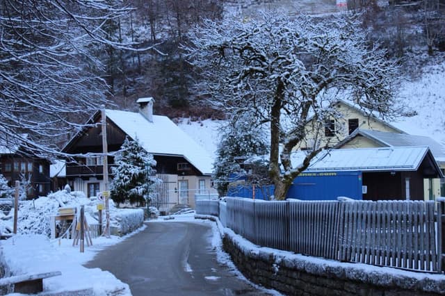 Photo 7 by Abdallah N. (1/2/26)