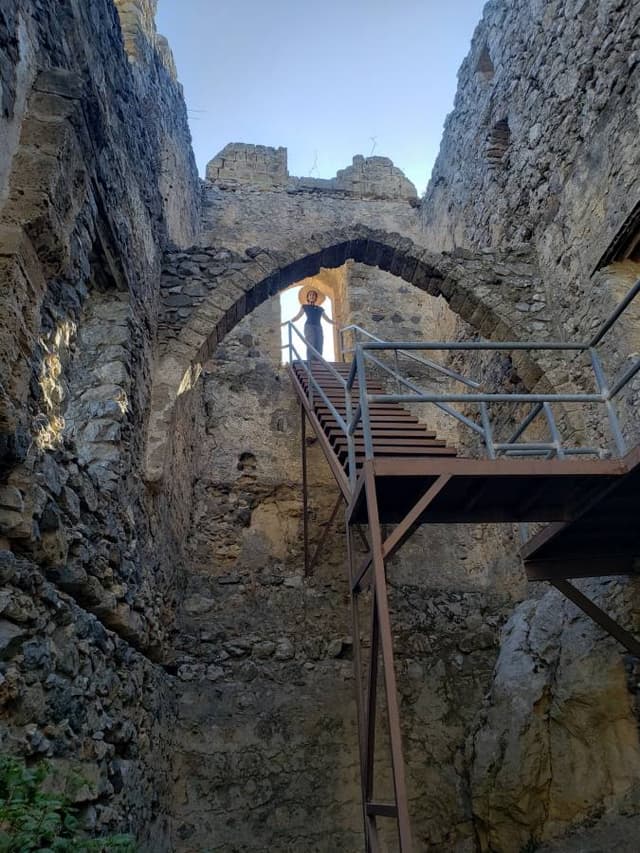 Photo 2 by Steven M. (9/11/23)