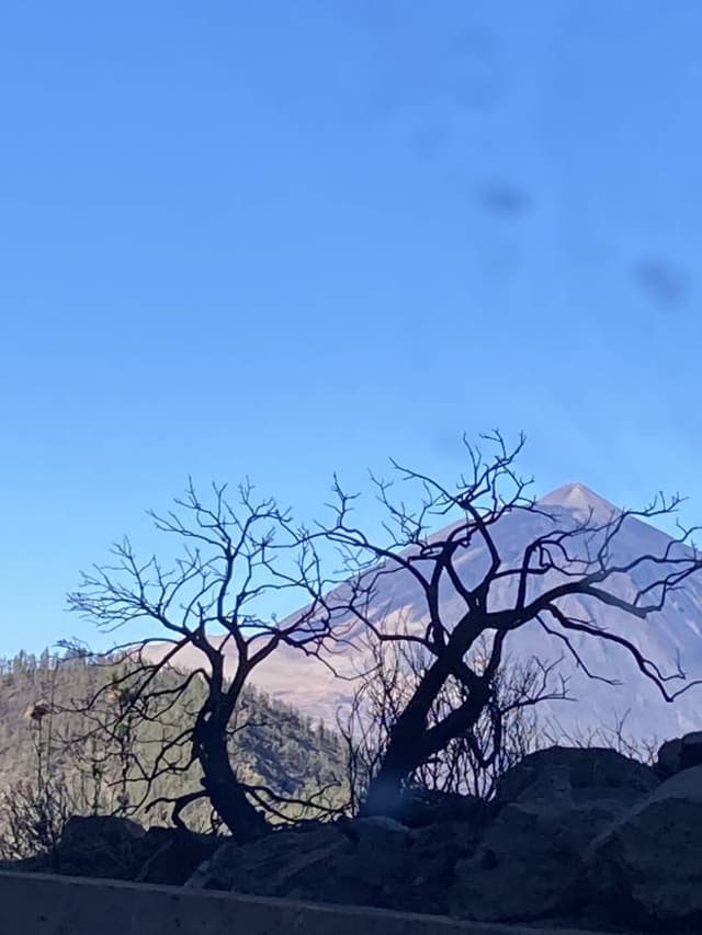 Foto 5 di Pietro L. sul noleggio di una Renault Clio in Spagna - alle Isole Canarie (25/02/24)