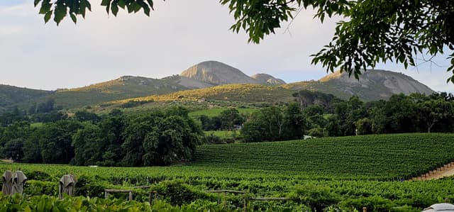 Foto 14 van Jelle J. (2-12-25)