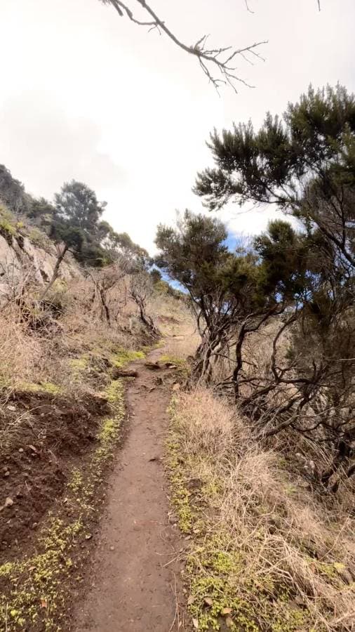 Zdjęcie 11 wykonane przez Cezary O. (5.12.25)