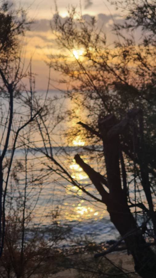 Photo 6 by Elaine B. (11/24/25)