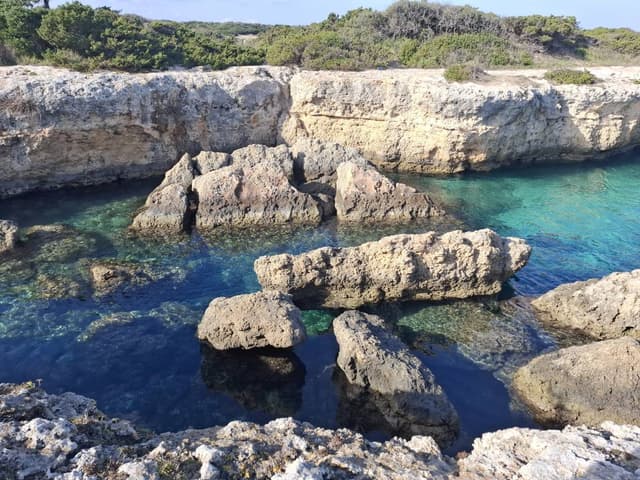 Photo 15 by Luciano Z. (1/22/26)