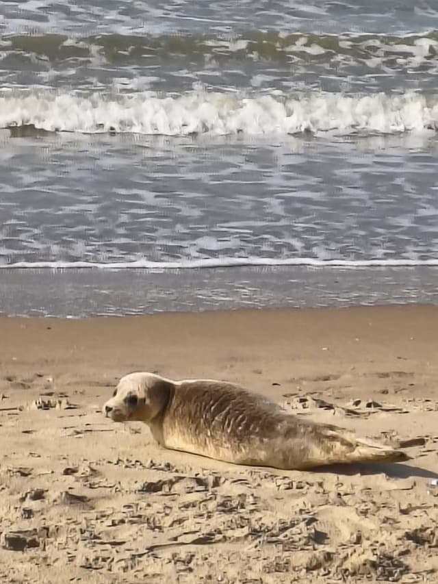 Photo 5 by Pal K. (3/23/26)