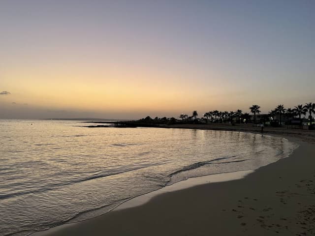 Zdjęcie 6 wykonane przez Michal K. (7.02.26)