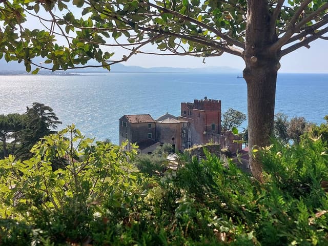 Foto 3 van Paul Z. (29-6-24)