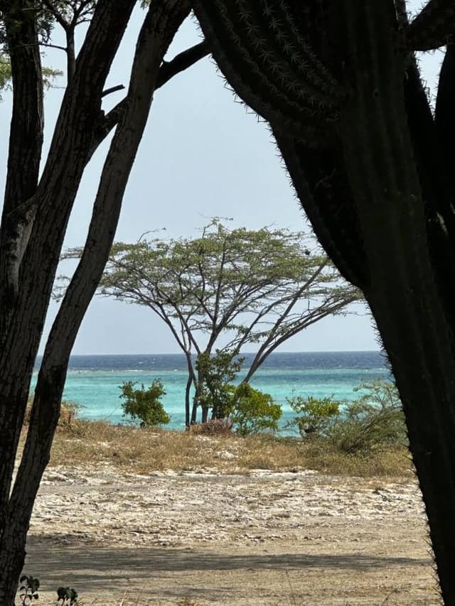 Photo 2 by JOLANTA T. about renting a Kia Picanto at Oranjestad Airport (2/19/24)