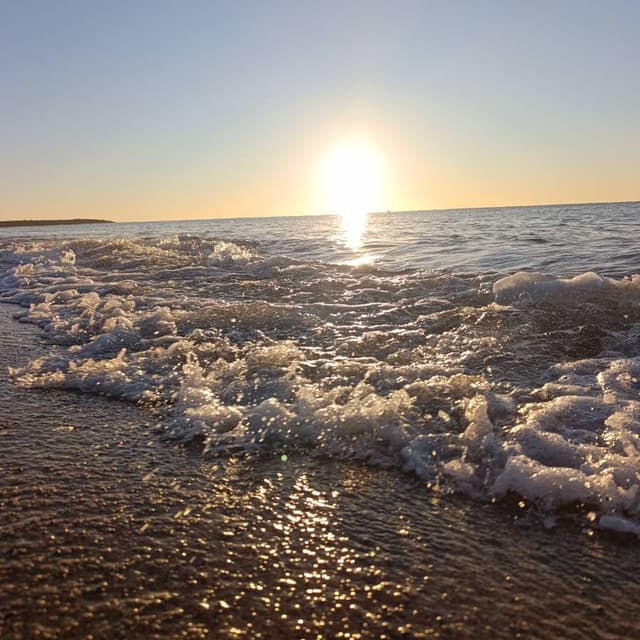 Photo 7 by Peter P. (9/18/26)