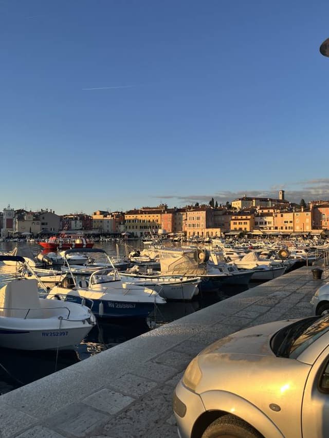 Photo 8 by John B. (10/18/25)