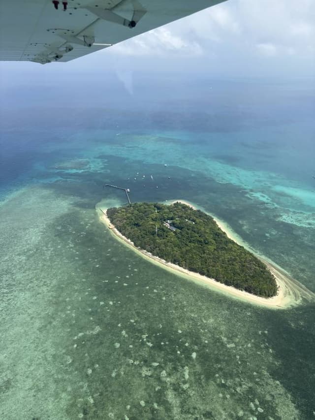 Photo 7 by Petrus V. (10/15/25)