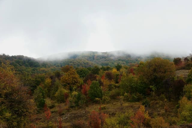 Фото 4 от Michael G. об аренде Renault Clio *Branded Vehicle* в Болгарии (15.10.25)