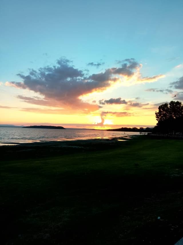 Photo 2 by Paul D. (9/30/26)