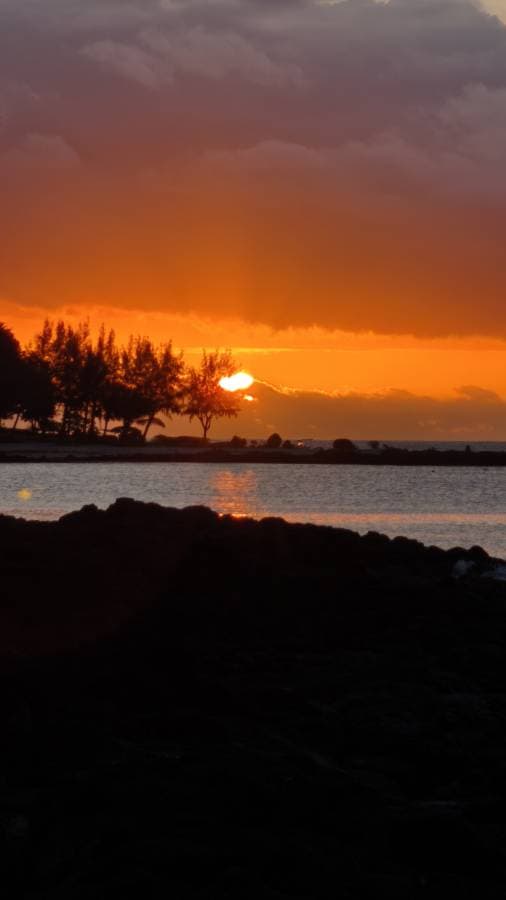 Foto 4 von Guenter H. (27.10.25)