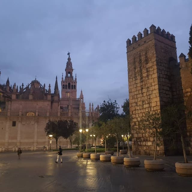 Kemal A. tarafından 3 fotoğraf (17.12.25)