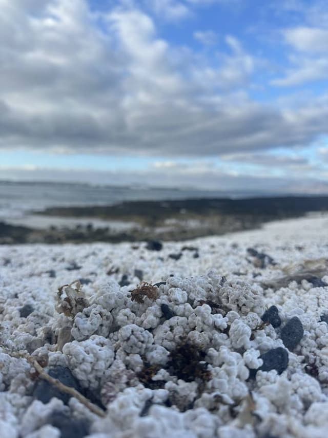 Photo 6 by Mario C. (3/25/26)