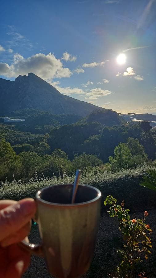 Foto 4 van attilio L. (29-12-25)