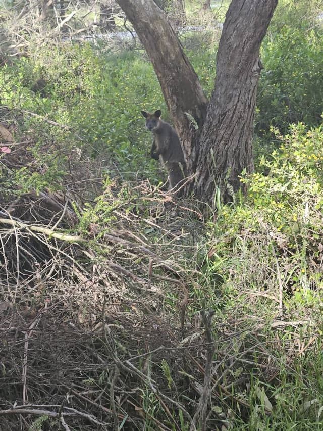 Photo 7 by Toni H. (11/21/25)