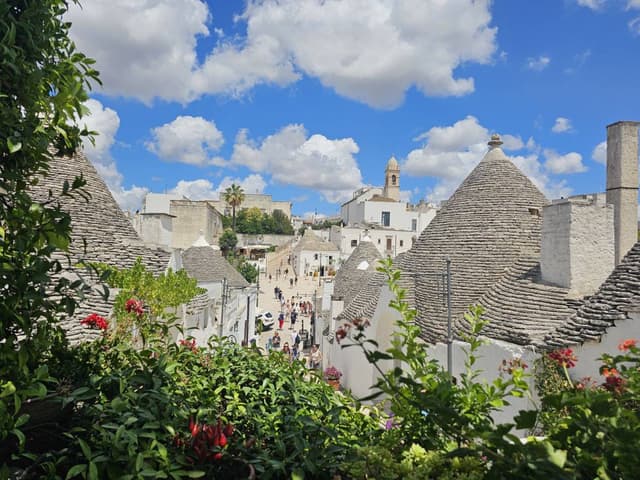 Zdjęcie 6 wykonane przez Piotr K. (8.07.24)