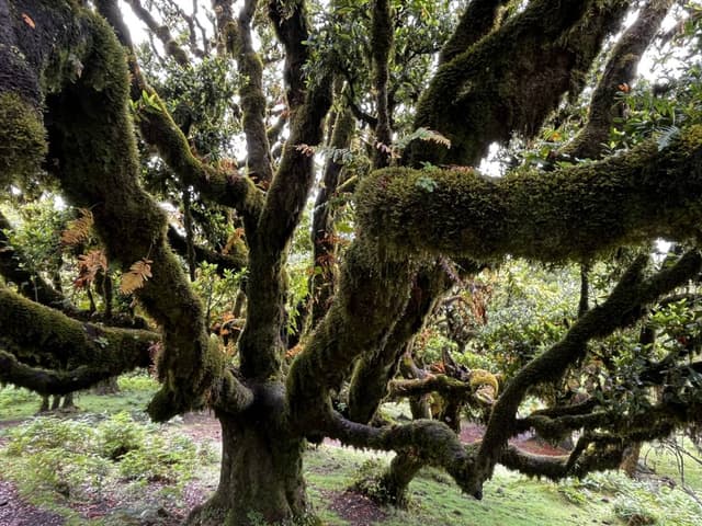 Photo 3 by Juhani A. about renting a Mercedes Benz A Class in Funchal (7/23/25)